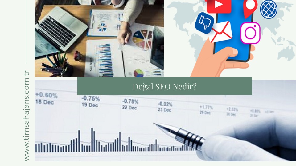 Doğal SEO Nedir?