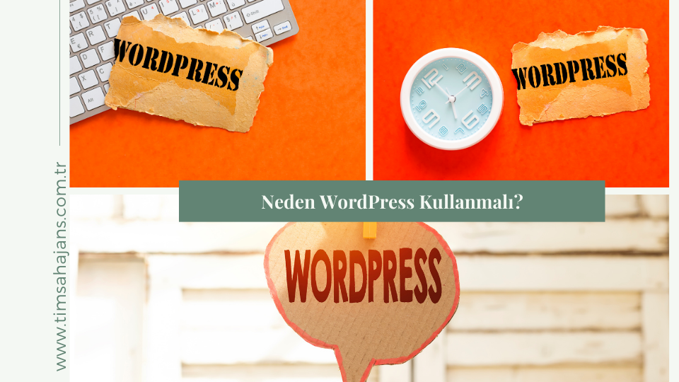 Neden WordPress Kullanmalı?